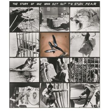 Roy Lichtenstein. Little Aloha. 1962